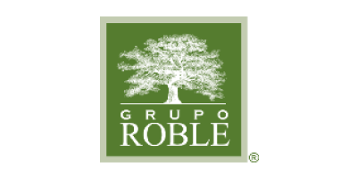 GRUPO ROBLE